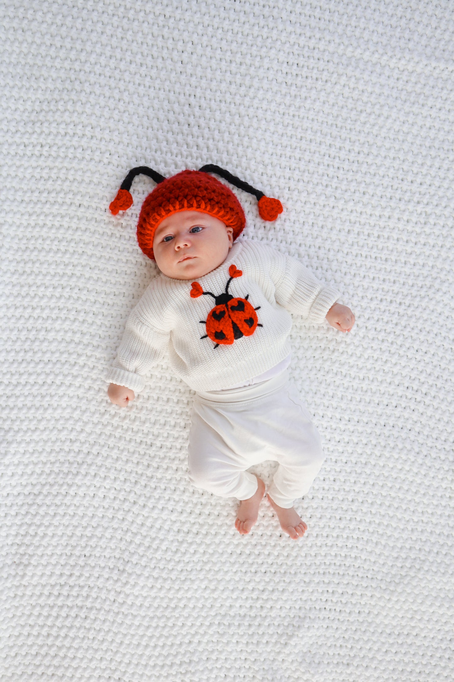 Love Bug Sweater
