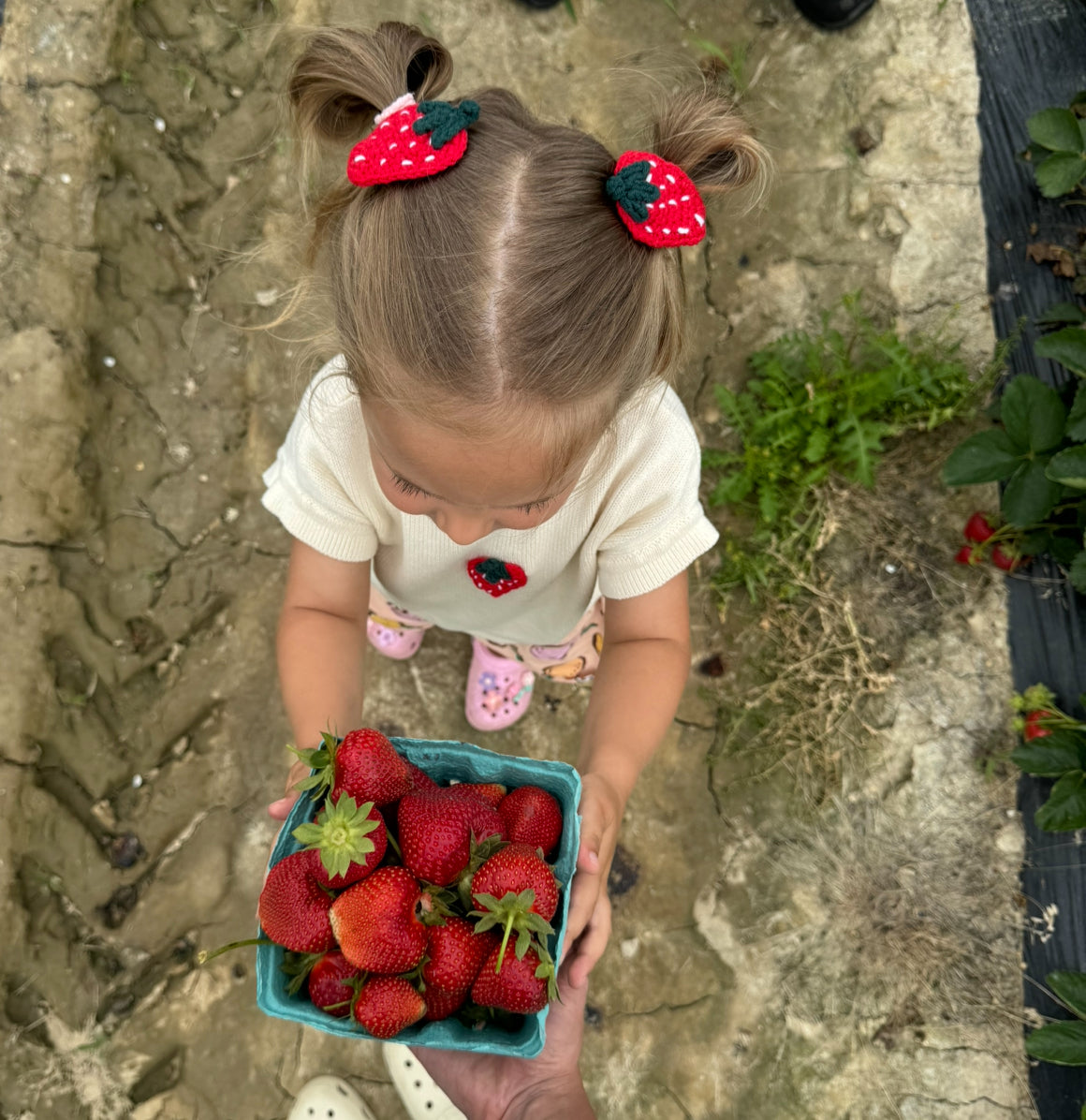 Strawberry Clip (1 clip)