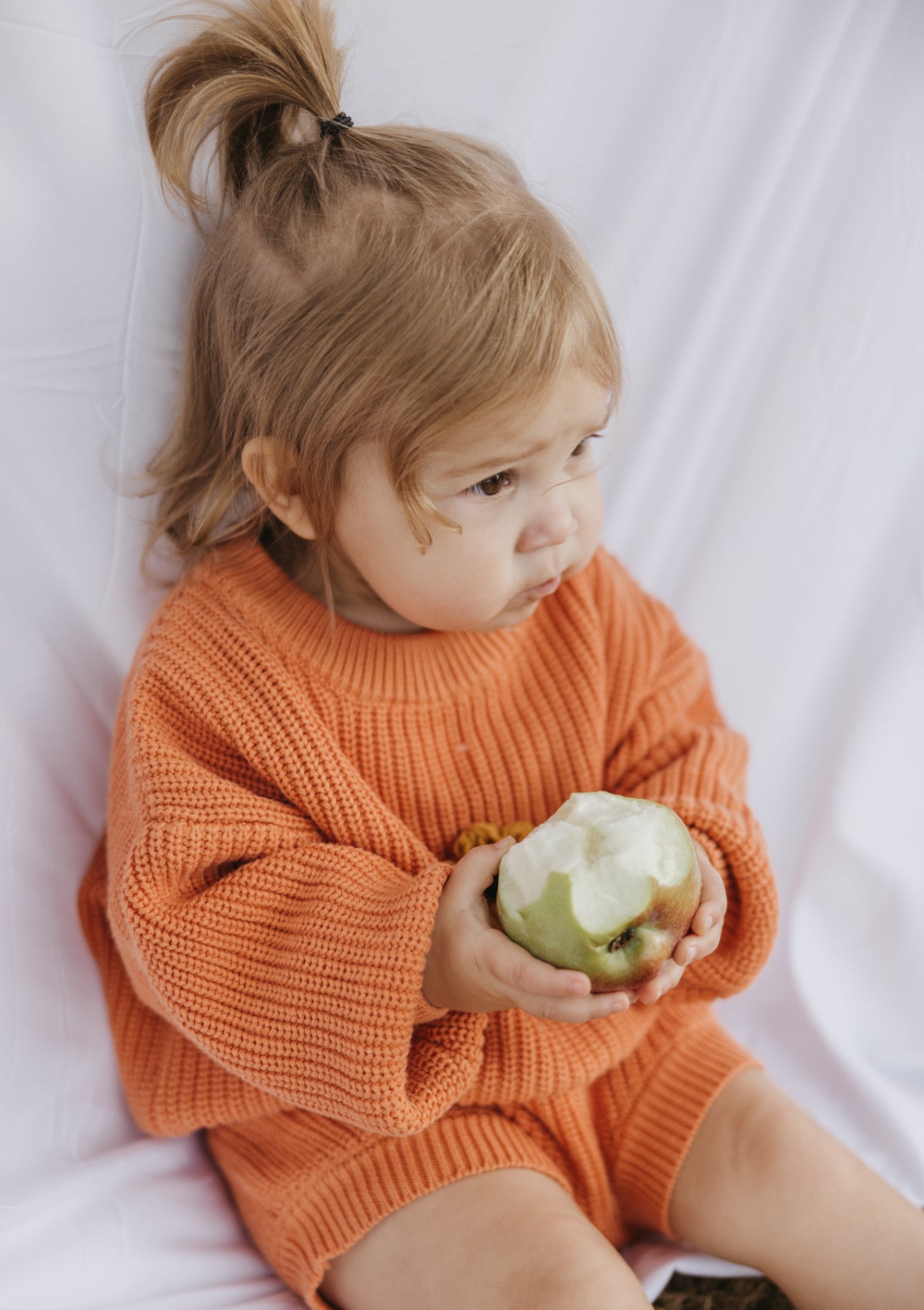 Pumpkin Set