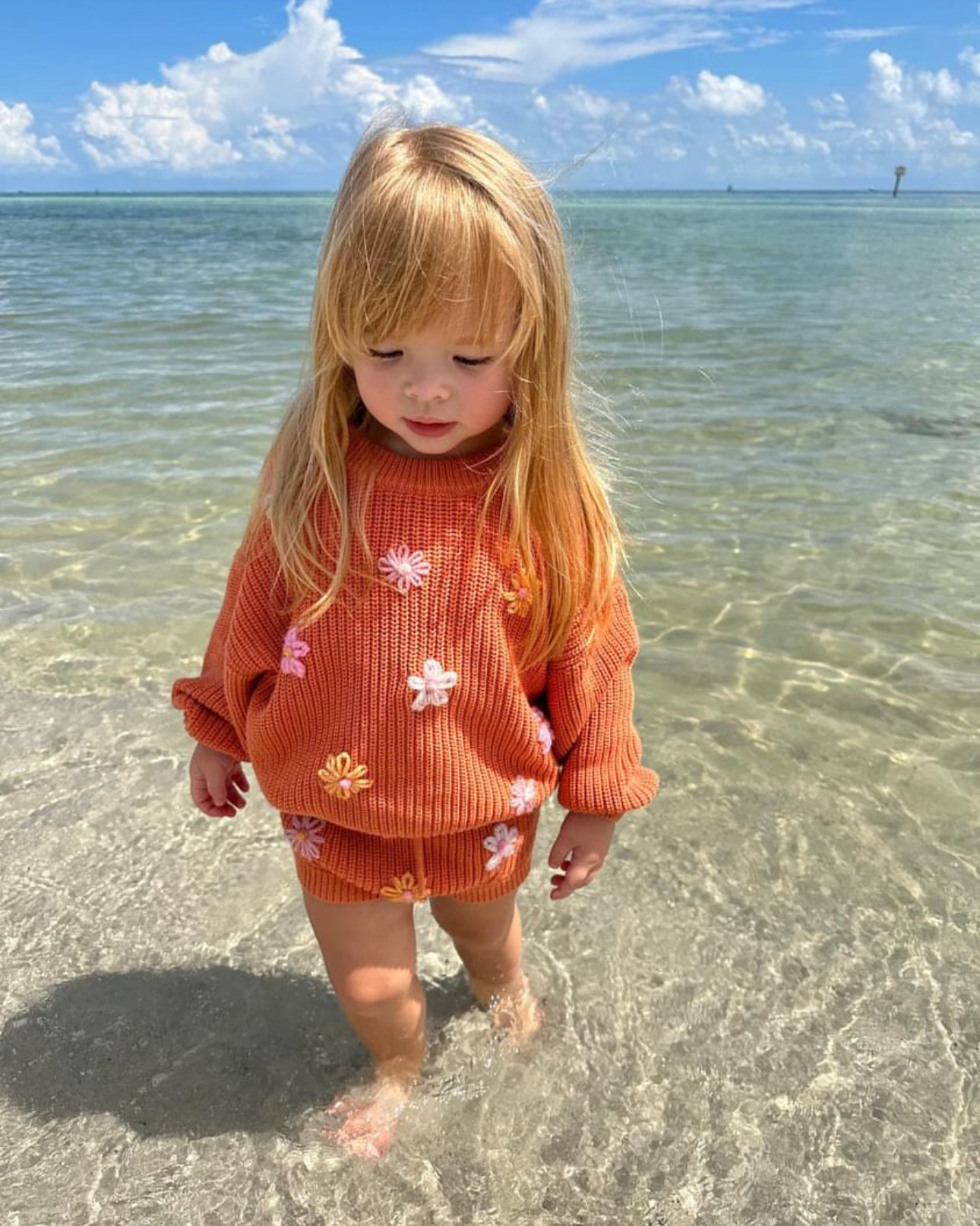 Pumpkin Set