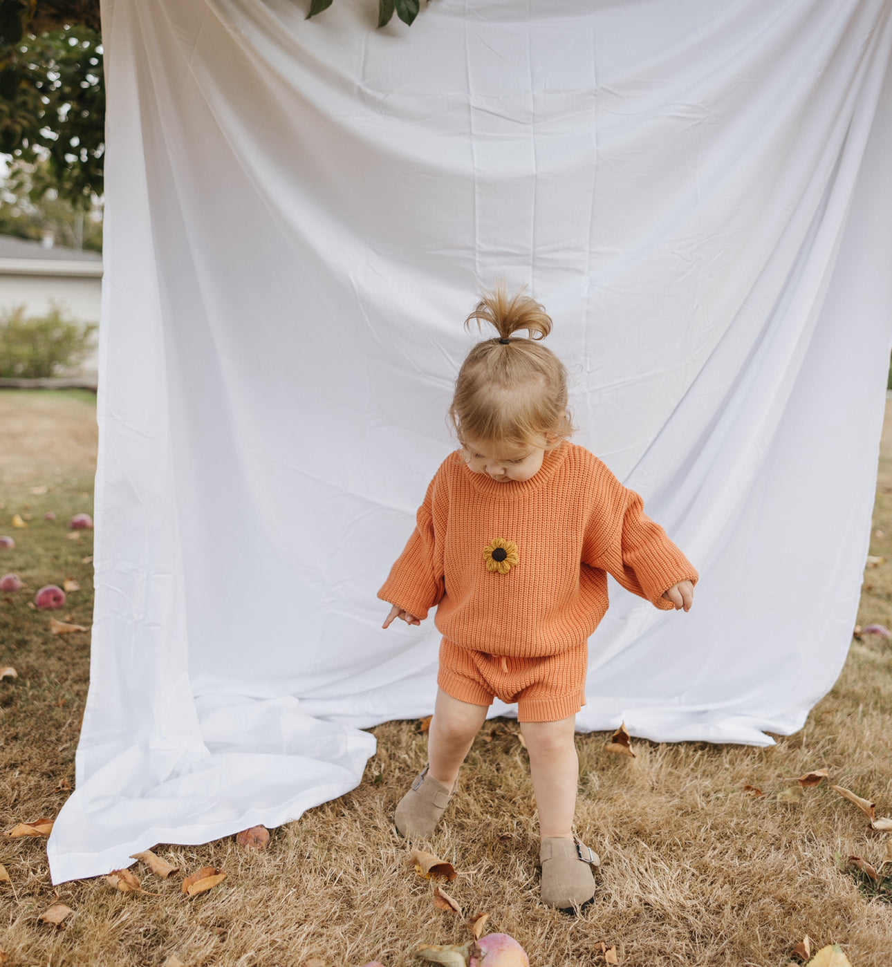 Pumpkin Set