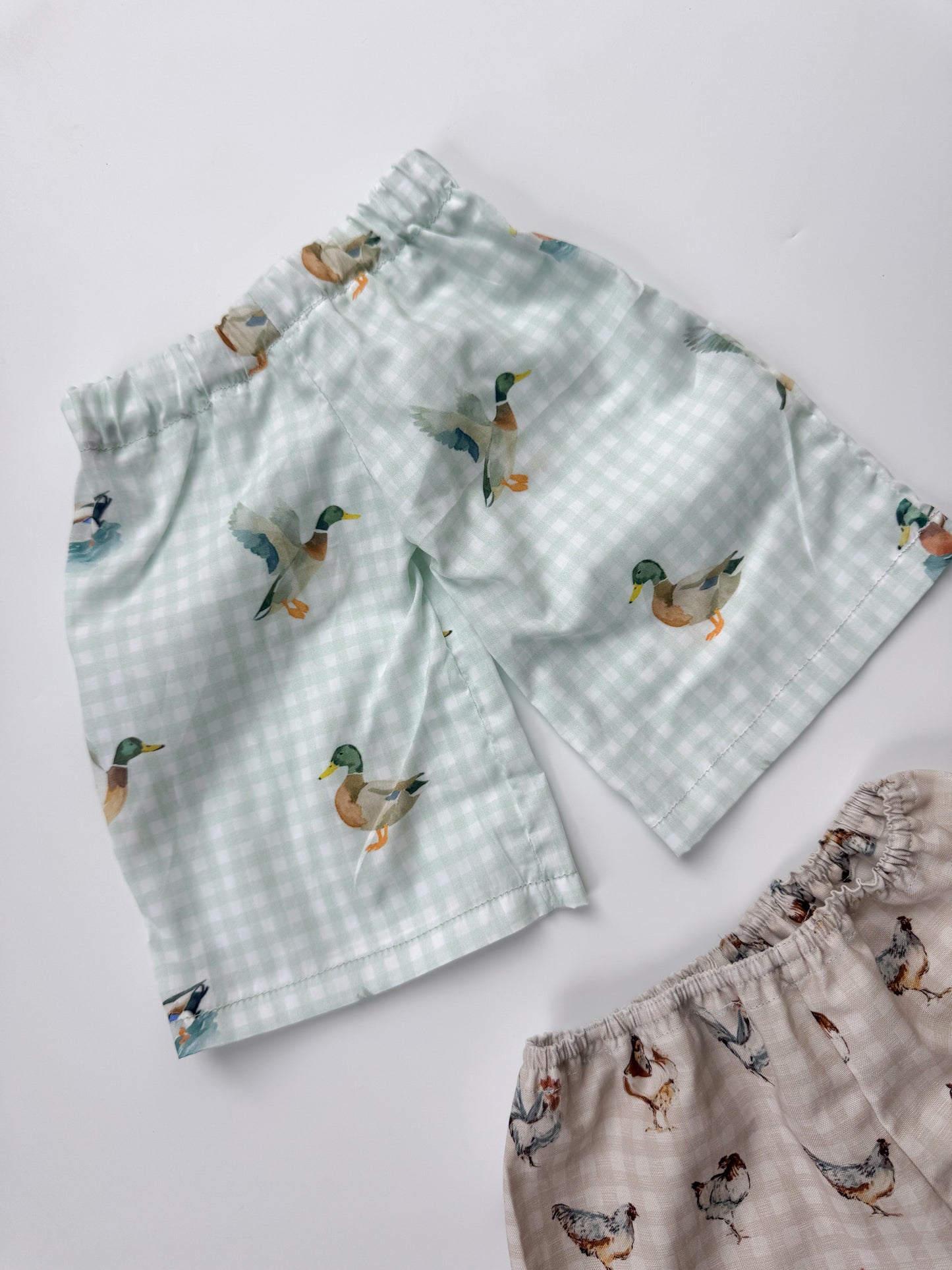 Birds of a feather Bottons