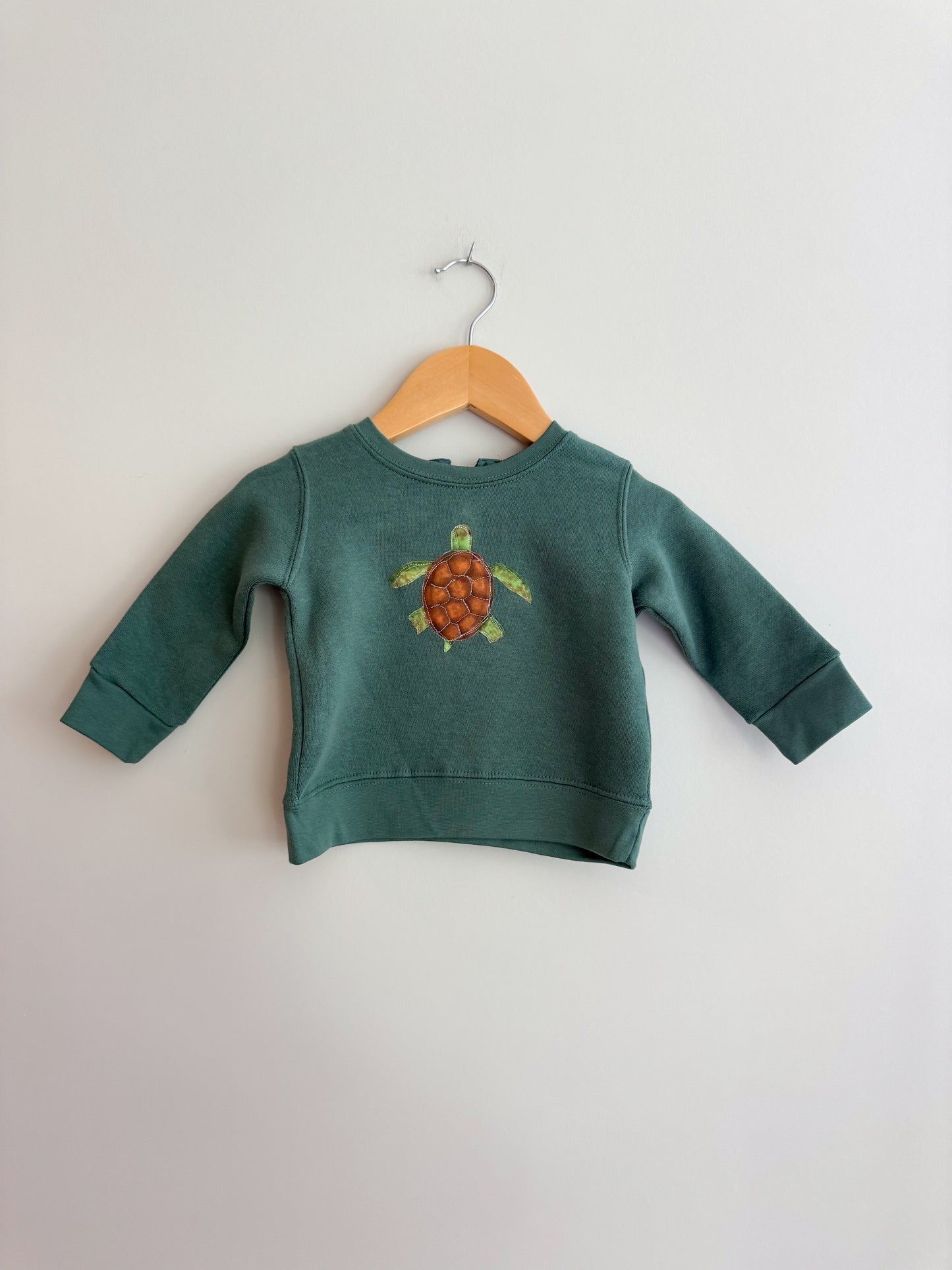 Turtle Appliqué Sweatshirt