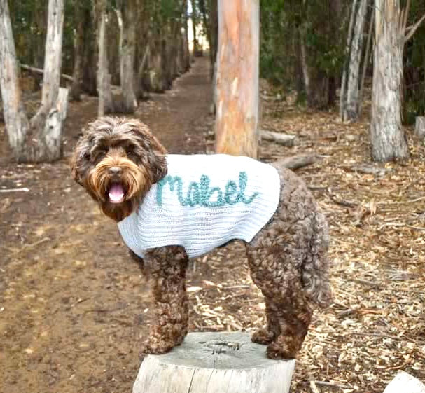 Custom embroidered Dog sweater