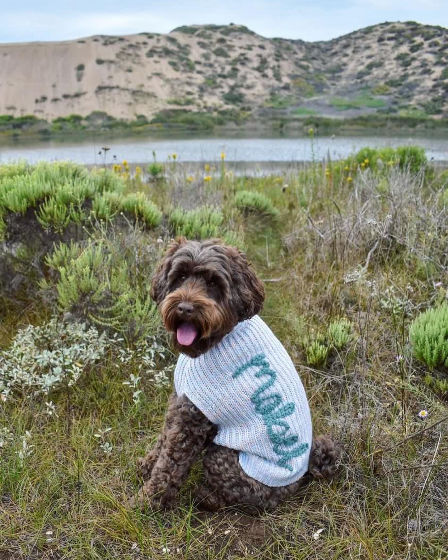 Custom embroidered Dog sweater
