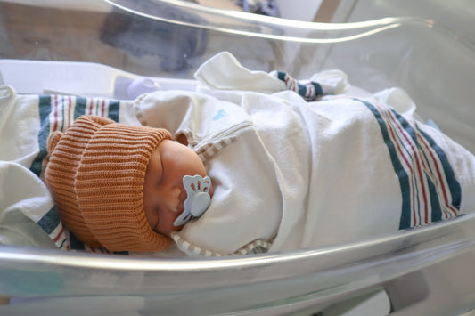 Bear Baby Beanie: Spice