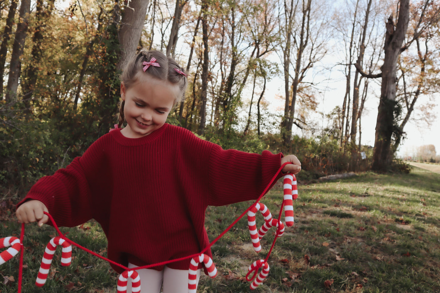 Cranberry Sweater