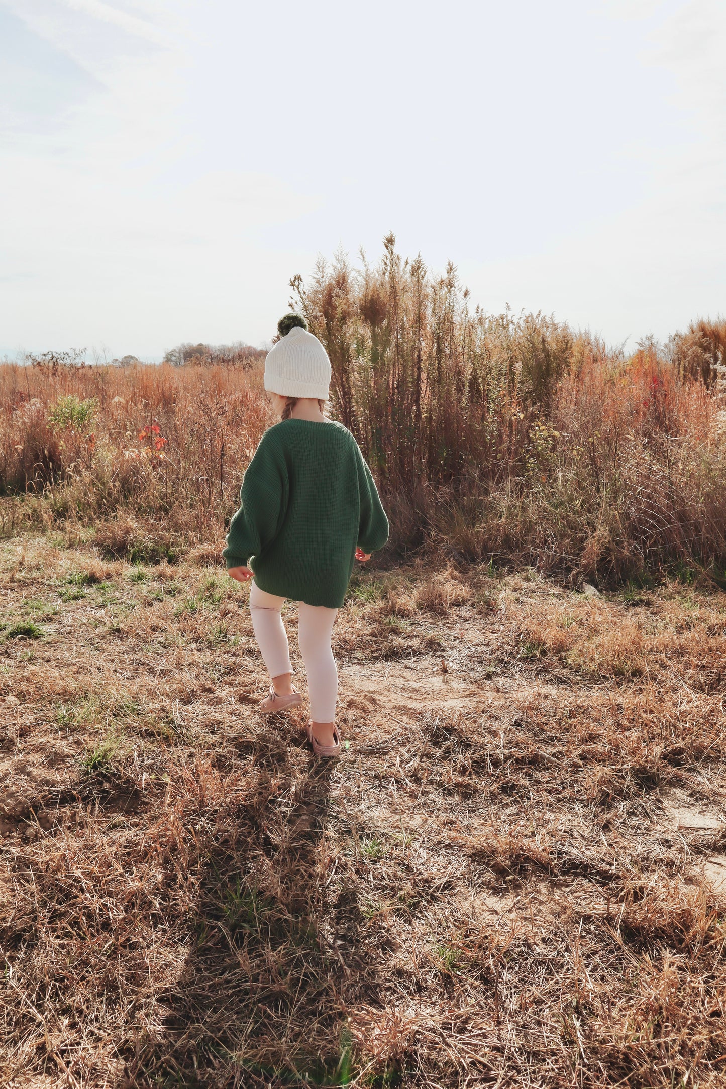 Evergreen Sweater