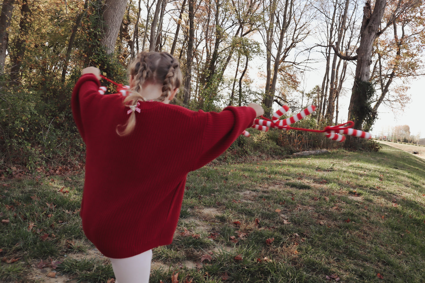 Cranberry Sweater