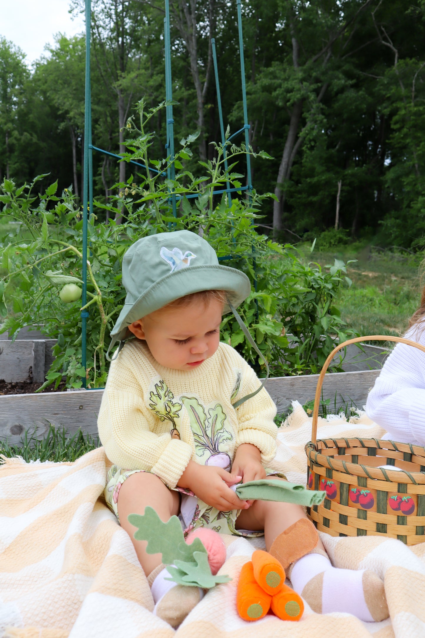 Butter Yellow Garden Sweater