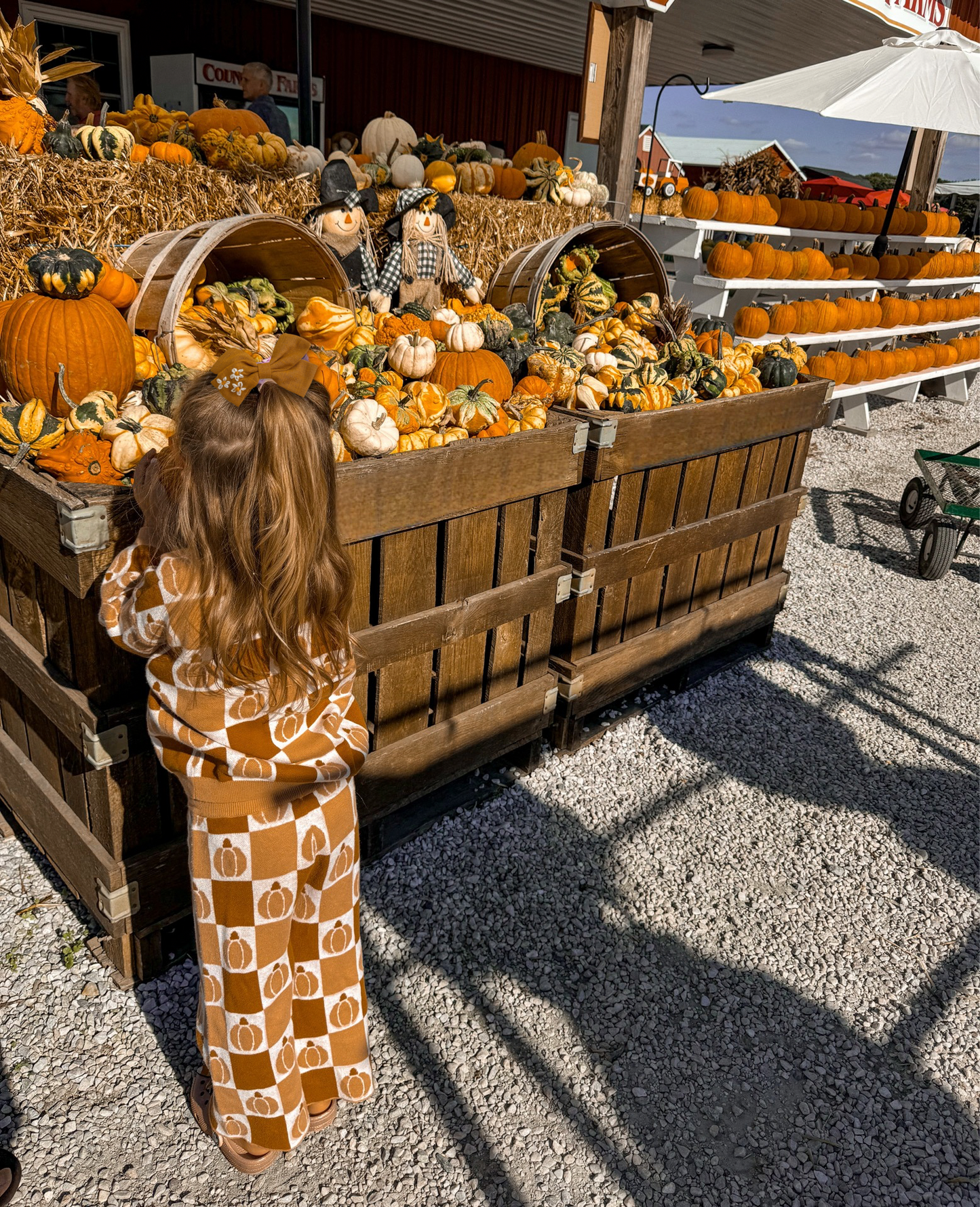 Checkered Pumpkin Set