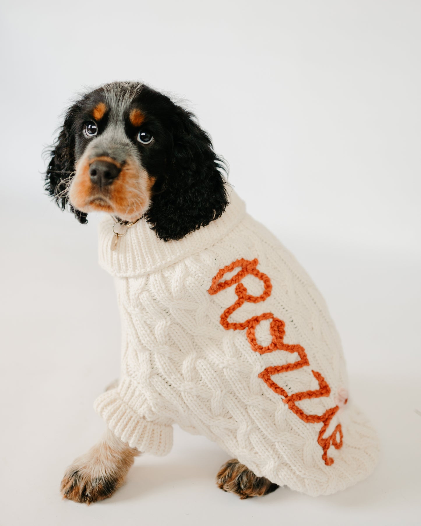 Custom embroidered Dog sweater