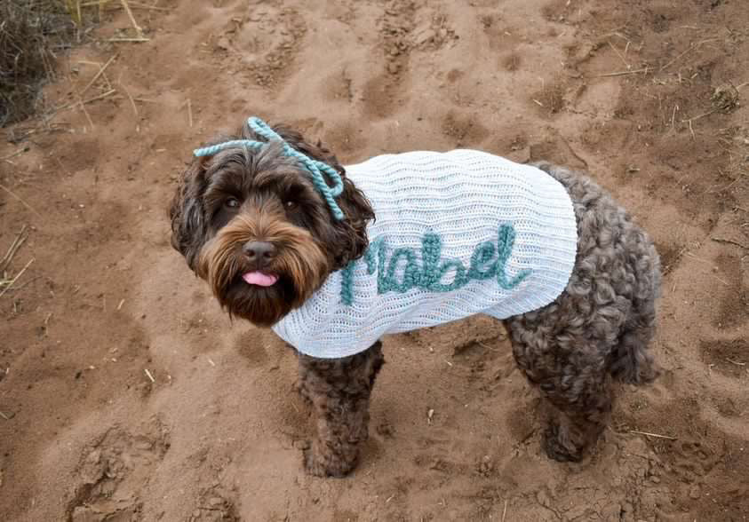 Custom embroidered Dog sweater