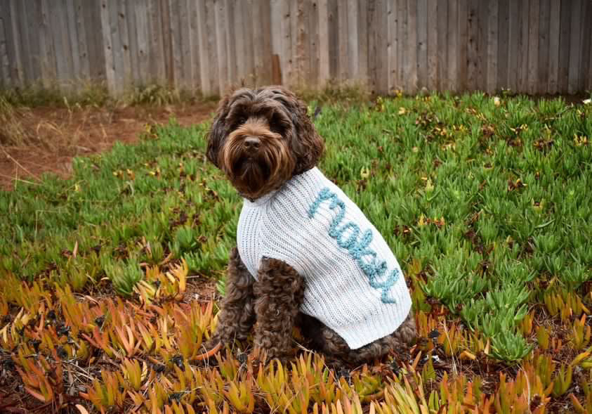Custom Dog sweater